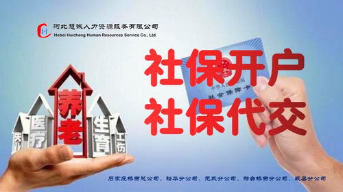 代理记账与社保代理的完美结合 为您的进出口业务提供便捷可靠的支持