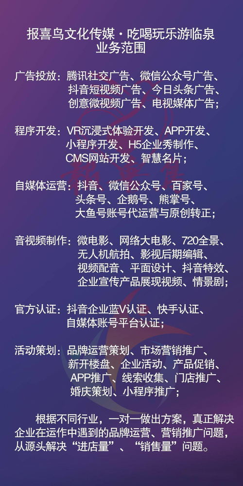 报喜鸟文化传媒 全网营销领跑者，引领网络文化经营新篇章